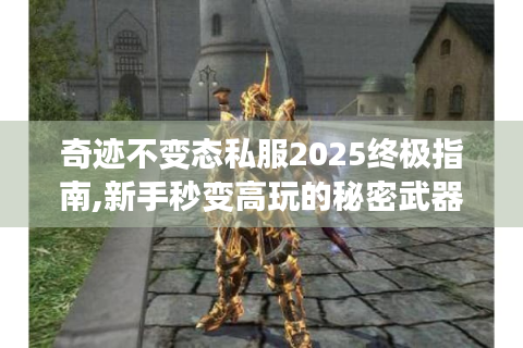 奇迹不变态私服2025终极指南,新手秒变高玩的秘密武器