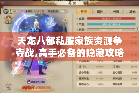 天龙八部私服家族资源争夺战,高手必备的隐藏攻略库