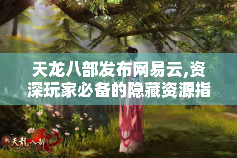 天龙八部发布网易云,资深玩家必备的隐藏资源指南