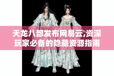 天龙八部发布网易云,资深玩家必备的隐藏资源指南