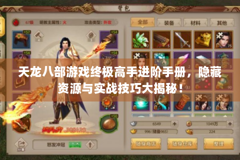 天龙八部游戏终极高手进阶手册，隐藏资源与实战技巧大揭秘！