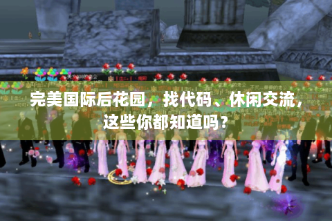 完美国际后花园，找代码、休闲交流，这些你都知道吗？