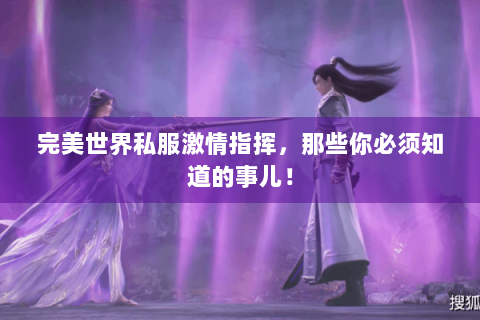 完美世界私服激情指挥，那些你必须知道的事儿！