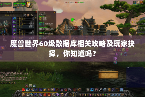 魔兽世界60级数据库相关攻略及玩家抉择，你知道吗？