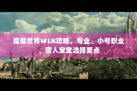 魔兽世界WLK攻略，专业、小号职业、猎人宝宝选择要点