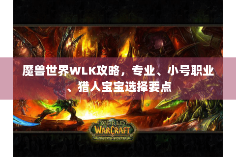 魔兽世界WLK攻略，专业、小号职业、猎人宝宝选择要点
