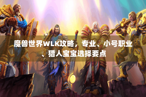 魔兽世界WLK攻略，专业、小号职业、猎人宝宝选择要点