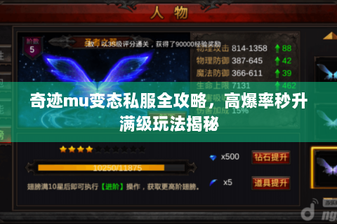 奇迹mu变态私服全攻略，高爆率秒升满级玩法揭秘