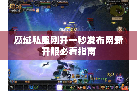 魔域私服刚开一秒发布网新开服必看指南