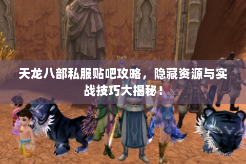 天龙八部私服贴吧攻略，隐藏资源与实战技巧大揭秘！