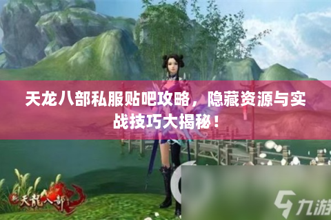 天龙八部私服贴吧攻略，隐藏资源与实战技巧大揭秘！