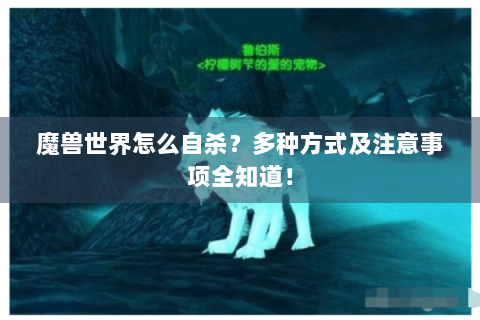 魔兽世界怎么自杀？多种方式及注意事项全知道！