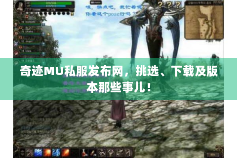 奇迹MU私服发布网，挑选、下载及版本那些事儿！
