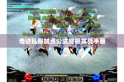 奇迹私服加点公式终极实战手册