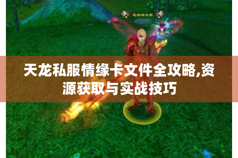 天龙私服情缘卡文件全攻略,资源获取与实战技巧