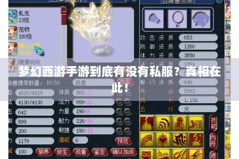 梦幻西游手游到底有没有私服？真相在此！
