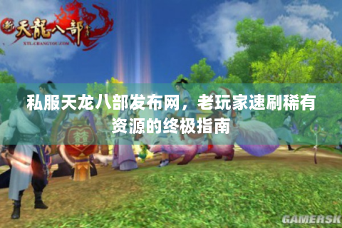 私服天龙八部发布网，老玩家速刷稀有资源的终极指南