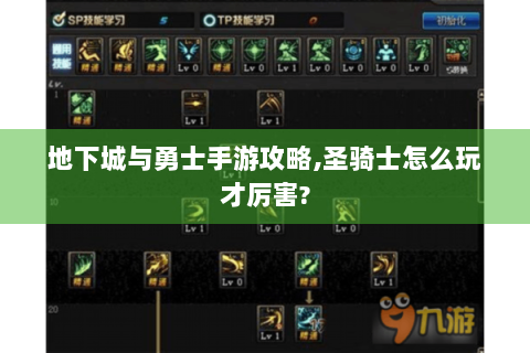 地下城与勇士手游攻略,圣骑士怎么玩才厉害?