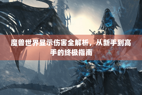 魔兽世界显示伤害全解析，从新手到高手的终极指南