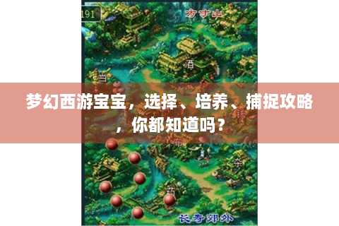 梦幻西游宝宝，选择、培养、捕捉攻略，你都知道吗？