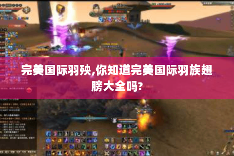 完美国际羽殃,你知道完美国际羽族翅膀大全吗?
