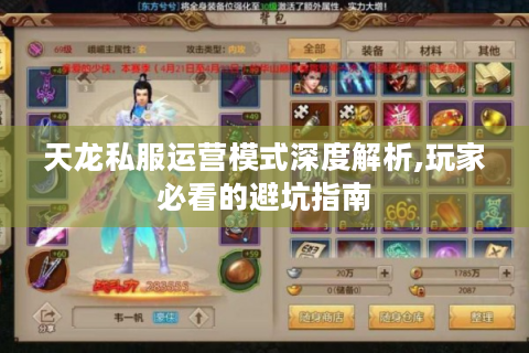 天龙私服运营模式深度解析,玩家必看的避坑指南