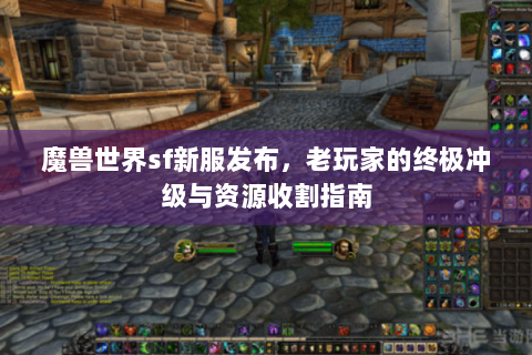 魔兽世界sf新服发布，老玩家的终极冲级与资源收割指南