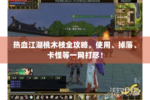 热血江湖桃木枝全攻略，使用、掉落、卡怪等一网打尽！