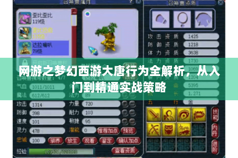 网游之梦幻西游大唐行为全解析，从入门到精通实战策略