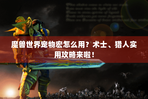 魔兽世界宠物宏怎么用？术士、猎人实用攻略来啦！