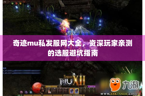 奇迹mu私发服网大全，资深玩家亲测的选服避坑指南