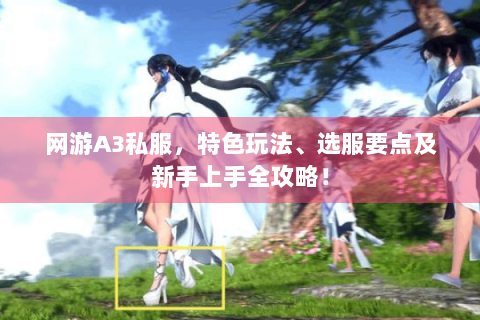 网游A3私服，特色玩法、选服要点及新手上手全攻略！
