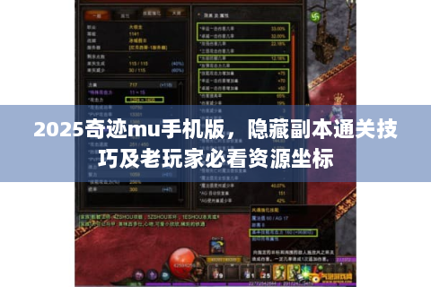 2025奇迹mu手机版，隐藏副本通关技巧及老玩家必看资源坐标