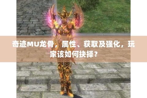 奇迹MU龙骨，属性、获取及强化，玩家该如何抉择？
