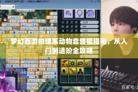 梦幻西游物理系动物套终极指南，从入门到进阶全攻略