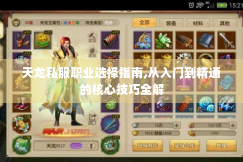 天龙私服职业选择指南,从入门到精通的核心技巧全解