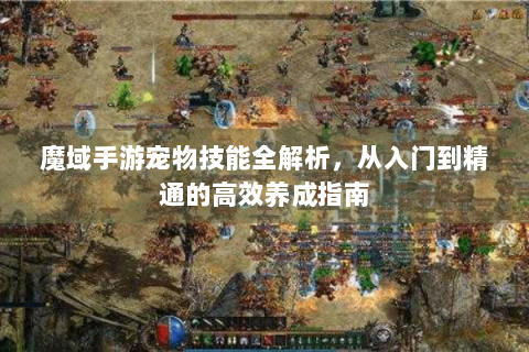 魔域手游宠物技能全解析，从入门到精通的高效养成指南