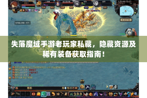 失落魔域手游老玩家私藏，隐藏资源及稀有装备获取指南！