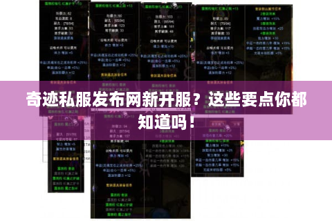 奇迹私服发布网新开服？这些要点你都知道吗！