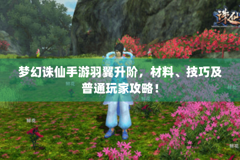 梦幻诛仙手游羽翼升阶，材料、技巧及普通玩家攻略！