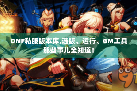 DNF私服版本库,选版、运行、GM工具那些事儿全知道！