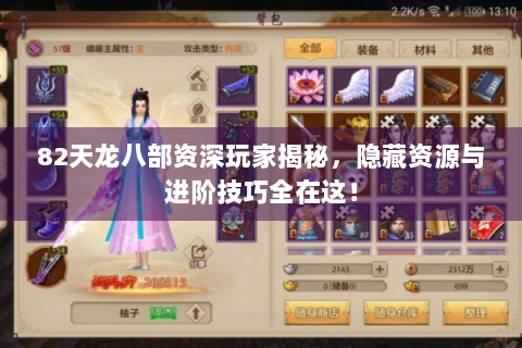 82天龙八部资深玩家揭秘，隐藏资源与进阶技巧全在这！