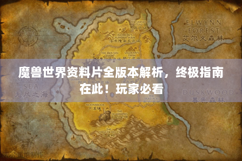 魔兽世界资料片全版本解析，终极指南在此！玩家必看