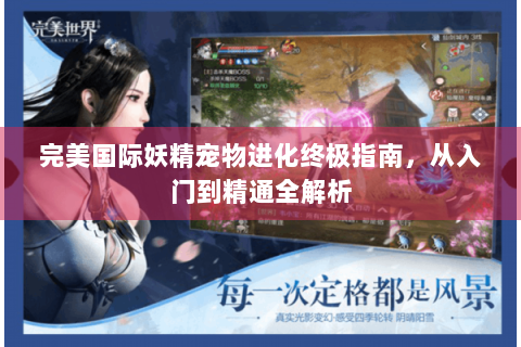 完美国际妖精宠物进化终极指南，从入门到精通全解析