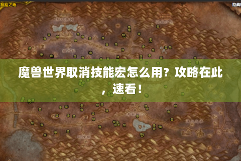 魔兽世界取消技能宏怎么用？攻略在此，速看！
