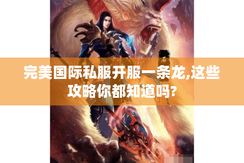 完美国际私服开服一条龙,这些攻略你都知道吗?