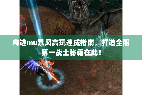 奇迹mu暴风高玩速成指南，打造全服第一战士秘籍在此！