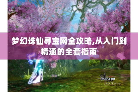 梦幻诛仙寻宝网全攻略,从入门到精通的全套指南