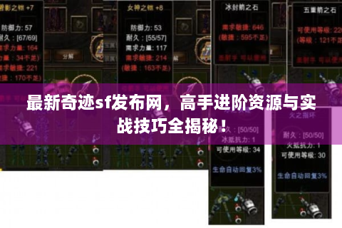 最新奇迹sf发布网，高手进阶资源与实战技巧全揭秘！