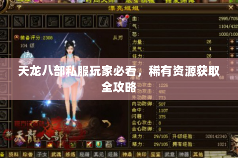 天龙八部私服玩家必看，稀有资源获取全攻略